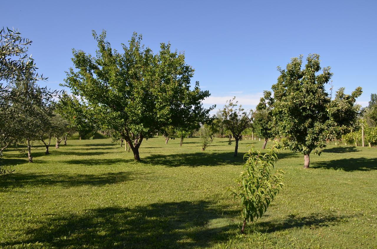 Finca Fisterra Maipú Exterior foto