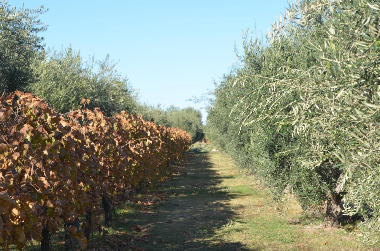 Finca Fisterra Maipú Exterior foto